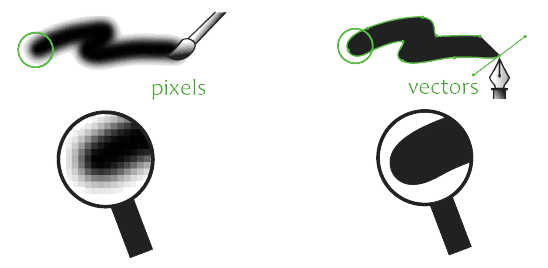 vector-vs-bitmap vector vs bitmap